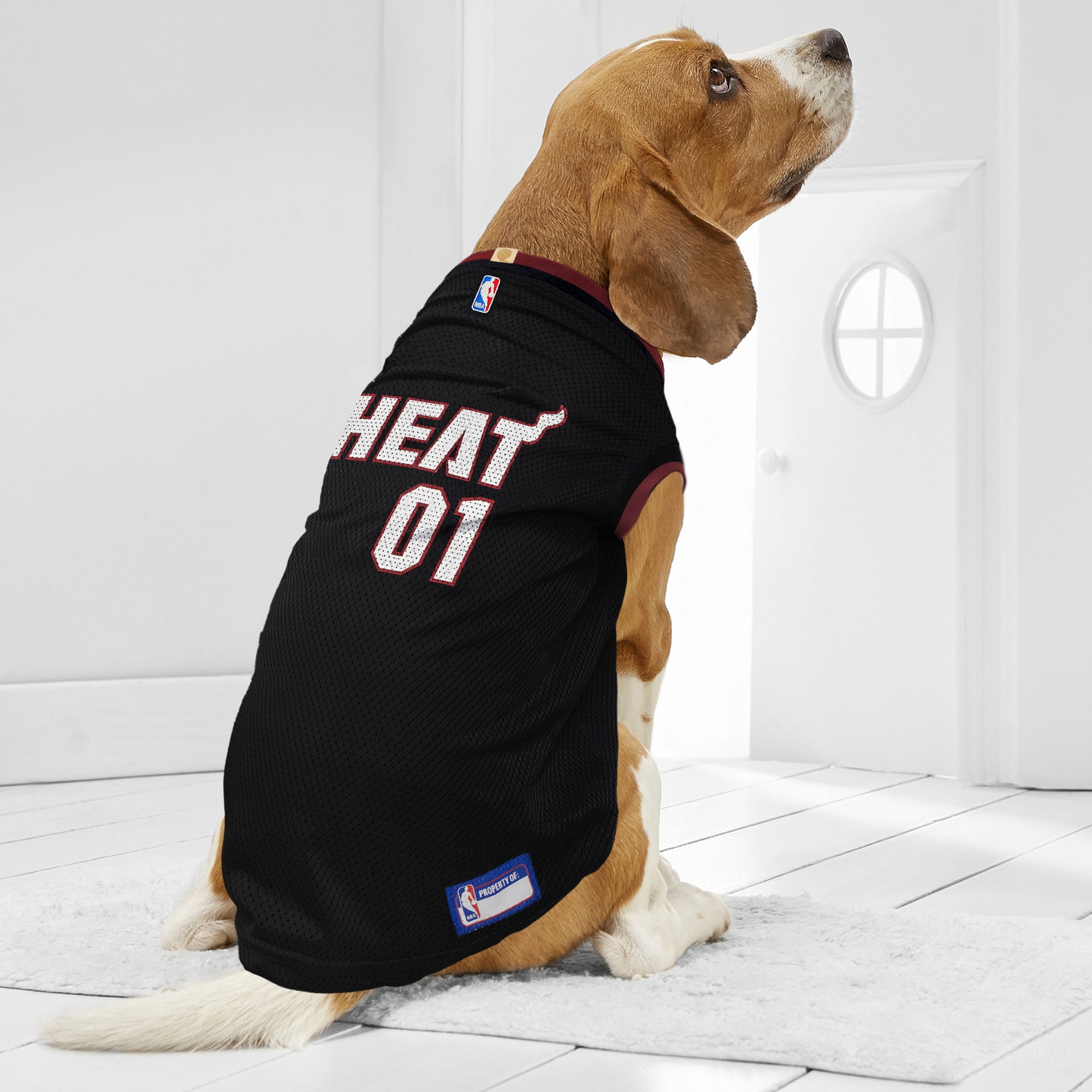 A brown and white dog sits on a white floor wearing the Pets First Miami HEAT Pet Jersey, featuring the number 01. Perfect for sports fans' pets, the dog looks off to the side with a white door in the background.