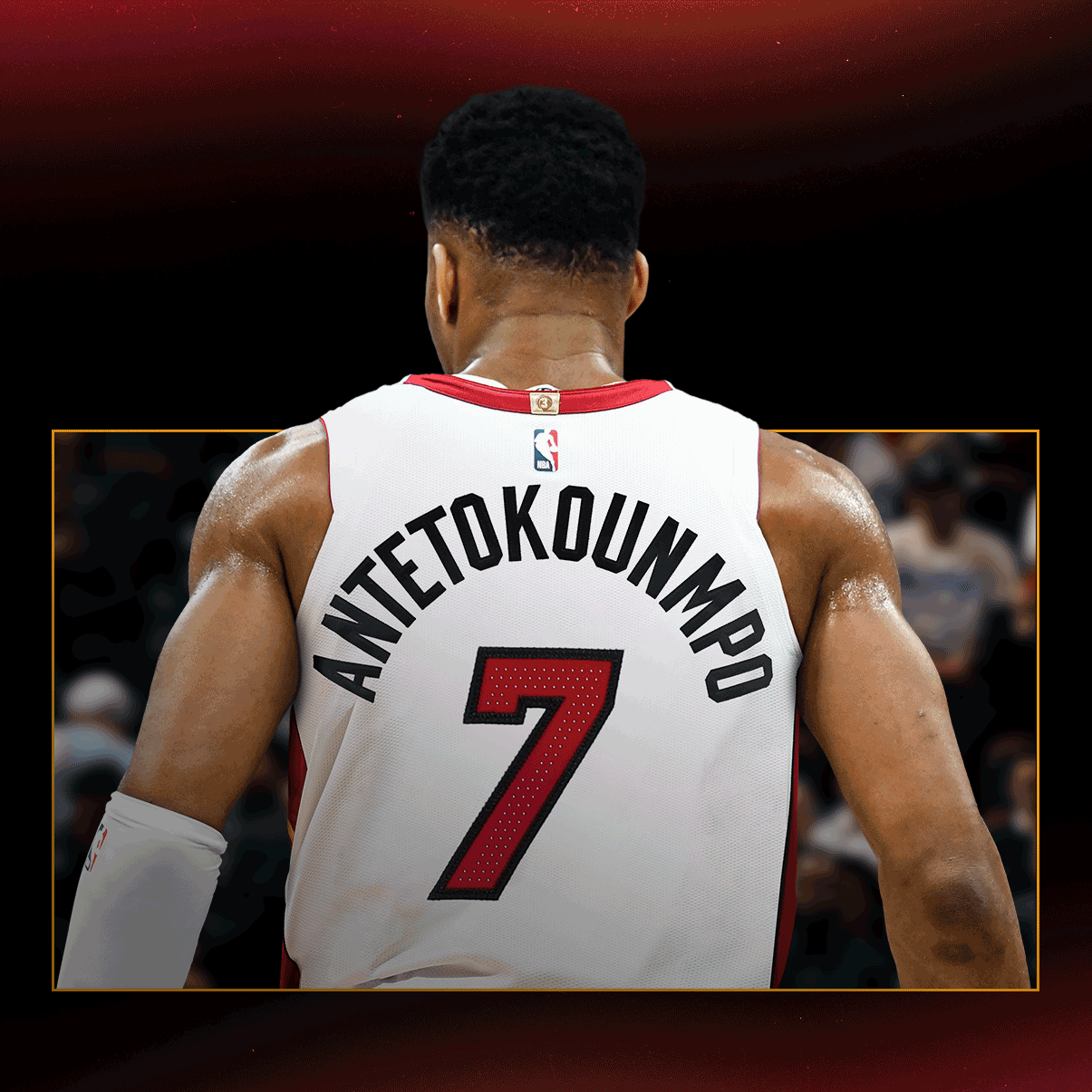 GIANNIS COLLECTION