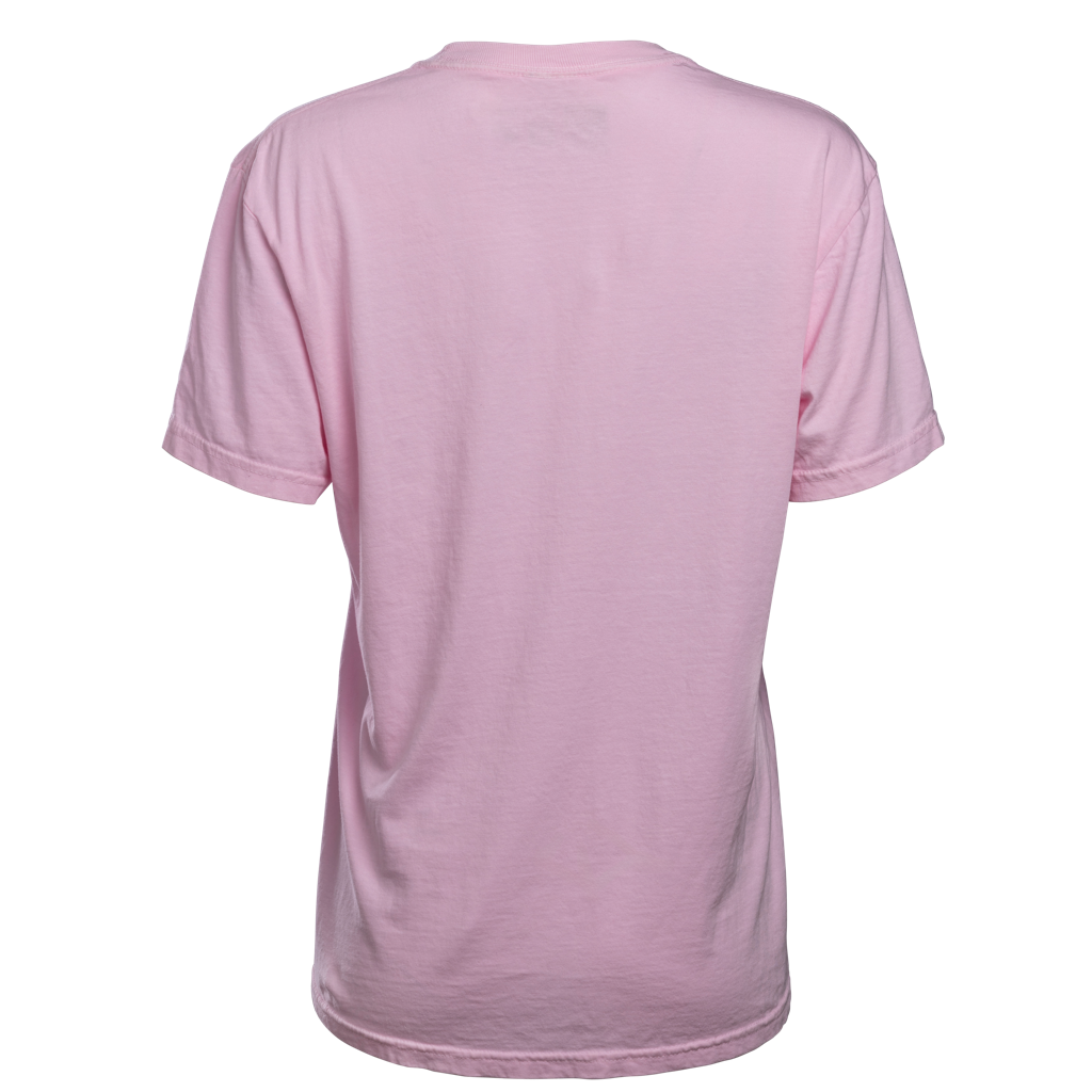 Light pink unisex t-shirt with Miami HEAT branding, short sleeves, relaxed fit, back view. - Court Culture HEAT Beach Club Unisex Tee