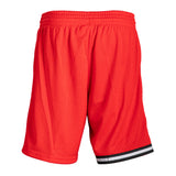 Mitchell & Ness Miami HEAT Swingman Shorts Red - 2